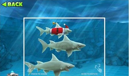 饥饿鲨进化礁鲨图片图片